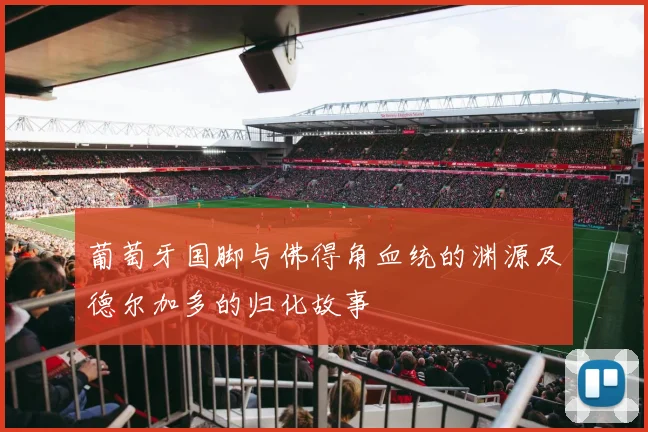 葡萄牙国脚与佛得角血统的渊源及德尔加多的归化故事